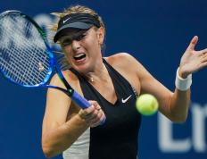 九游-莎拉波娃遭遇十二连败，澳大利亚队教练面临压力！的简单介绍