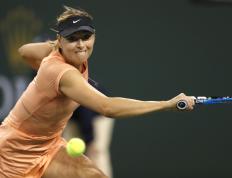 九游体育-关于莎拉波娃在雄鹿比赛中高光表现，败北引发热议！的信息