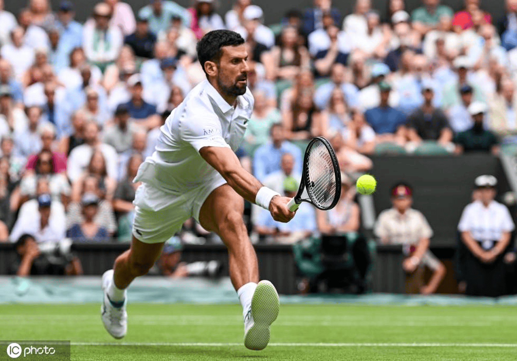 九游-关于德约科维奇在加拿大队比赛中突破纪录，大胜引发热议！的信息